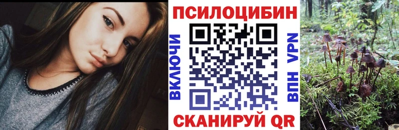 Галлюциногенные грибы ЛСД  Змеиногорск 