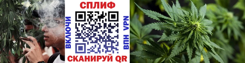 omg маркетплейс  Змеиногорск  Бошки Шишки планчик  сколько стоит 